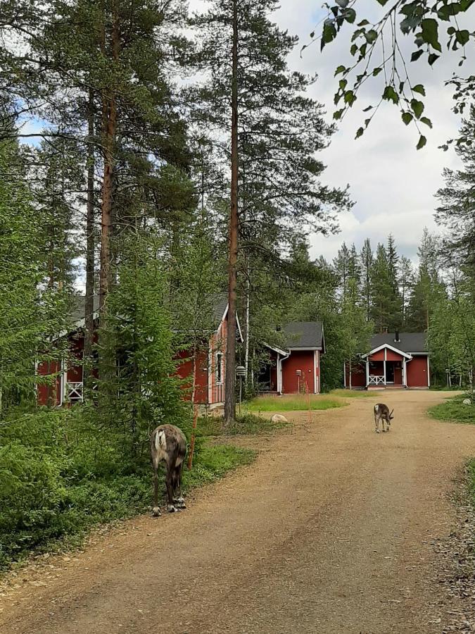 Kuosto Ja Luppo Villa Akaslompolo Luaran gambar